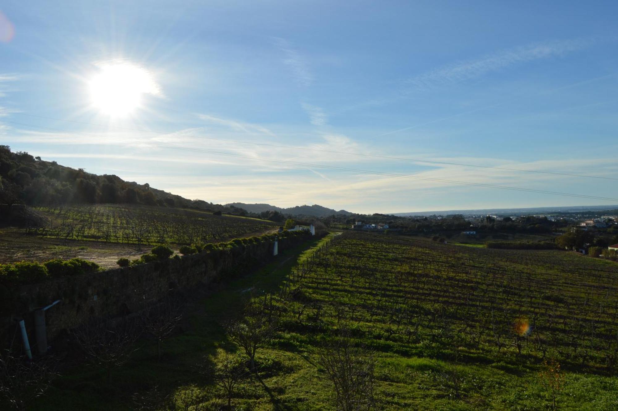 Quinta Do Piloto Guest House Palmela Luaran gambar