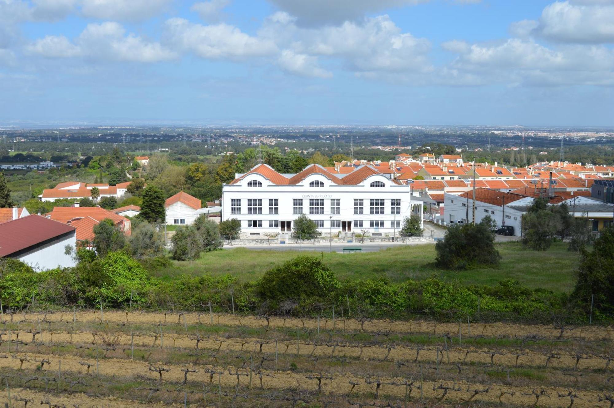 Quinta Do Piloto Guest House Palmela Luaran gambar